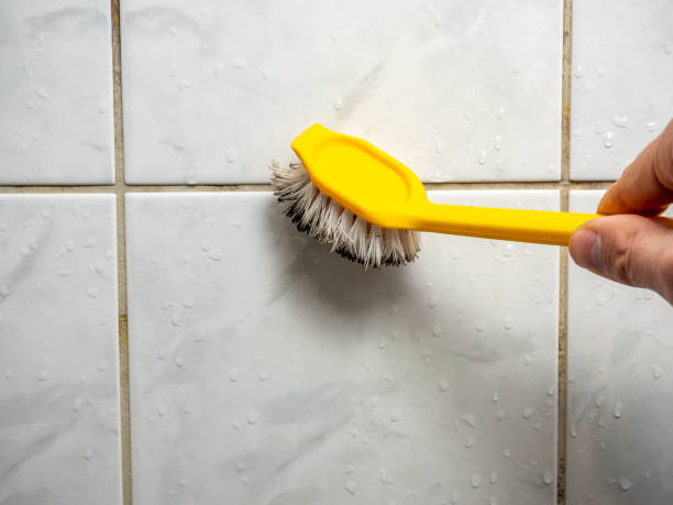 Best Mold Inspection  in Whiting, WI
