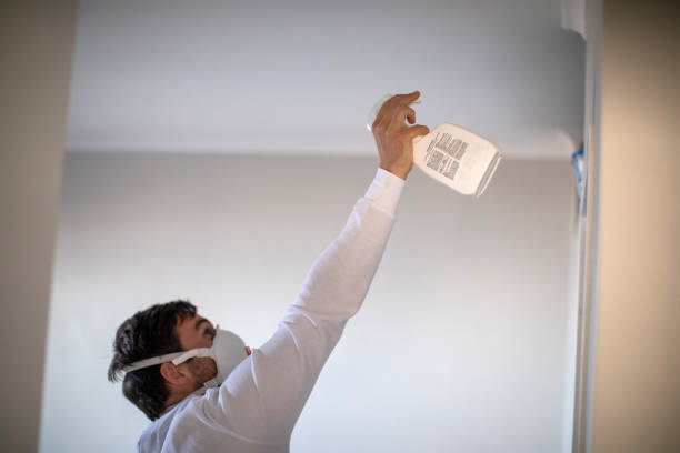 Best Black Mold Removal  in Whiting, WI